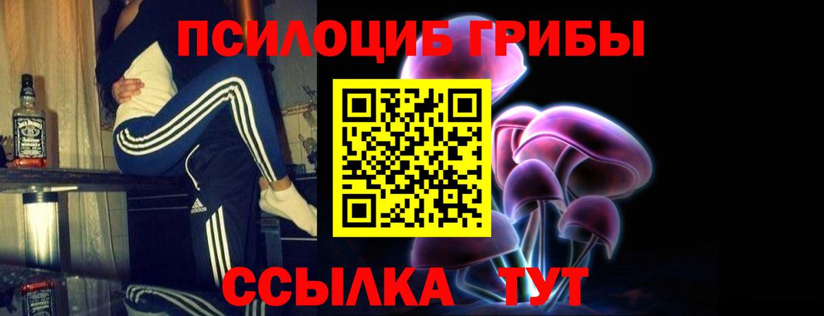 Галлюциногенные грибы MAGIC MUSHROOMS  Псилоцибиновые грибы ЛСД  Углич  Вход с VPN 