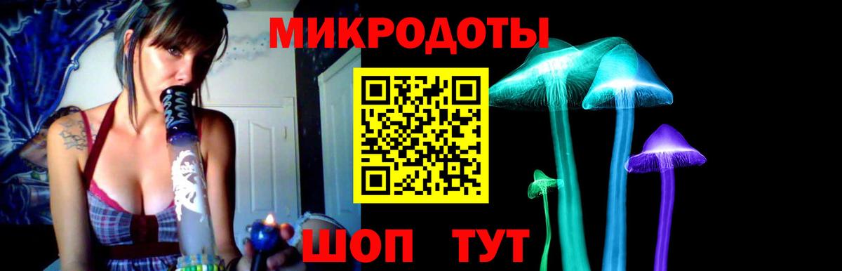 Псилоцибиновые грибы Psilocybine cubensis Углич